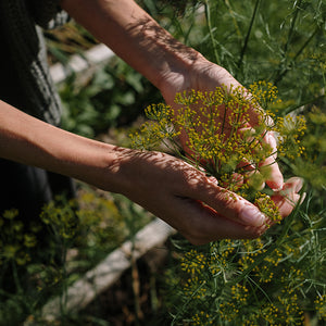 Veelgestelde vragen over spagyriek